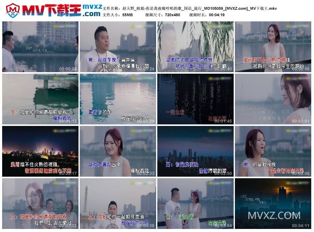 赵天野_欧姐-你是我夜晚哼唱的歌_国语_流行_MD105059